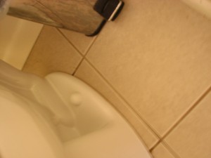 Main bath toilet right side